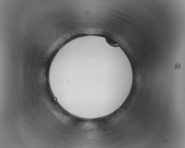 X0000112540303200909141318