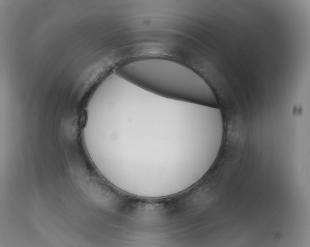 X0000112540304200909141318