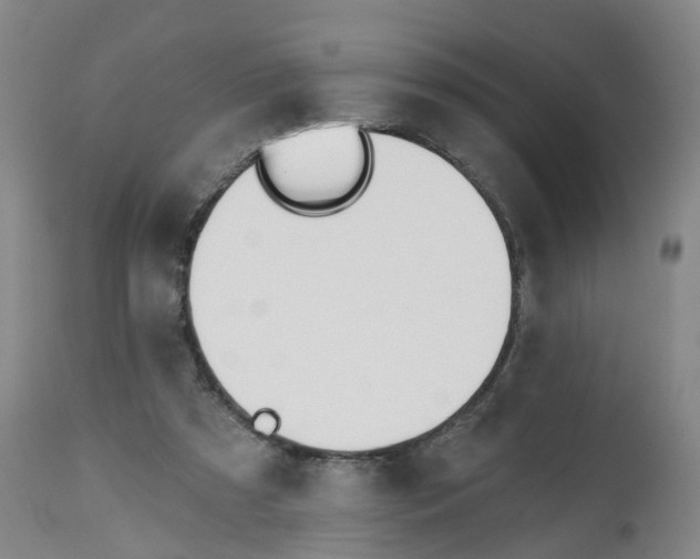 X0000112540305200909141318