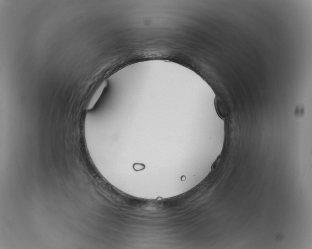 X0000112540308200909141318