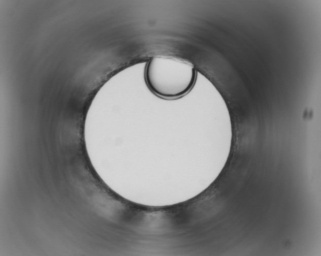 X0000112540309200909141318