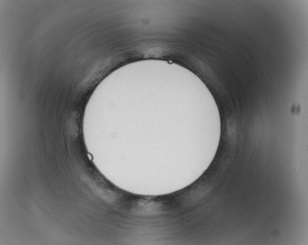 X0000112540311200909141318