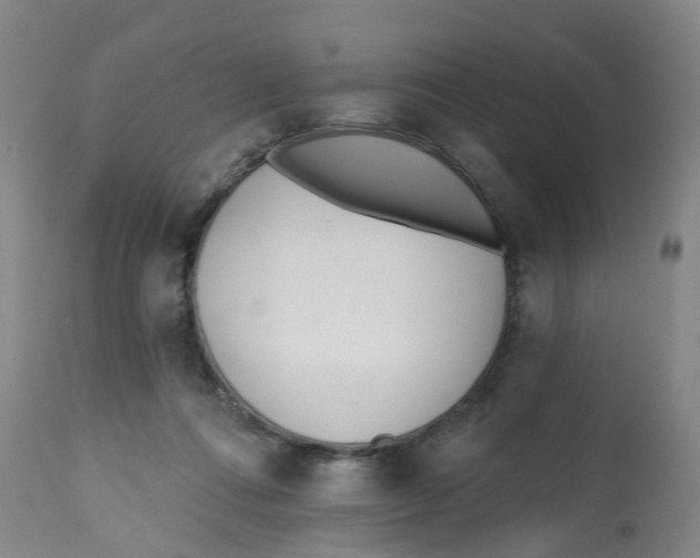 X0000112540312200909141318
