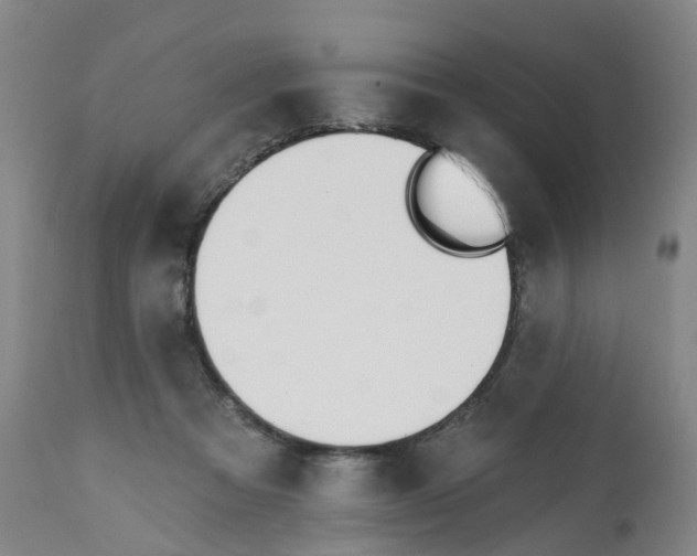 X0000112540313200909141318