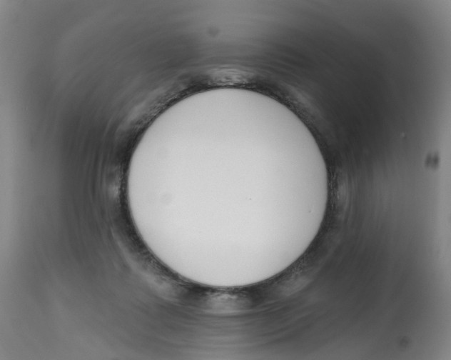 X0000112540315200909141318