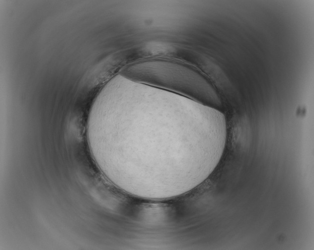 X0000112540316200909141318