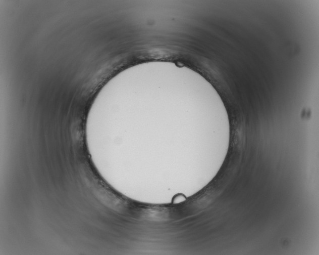 X0000112540317200909141318