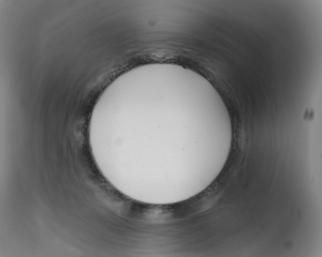 X0000112540319200909141318