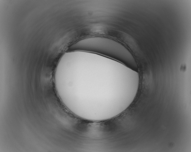 X0000112540320200909141318