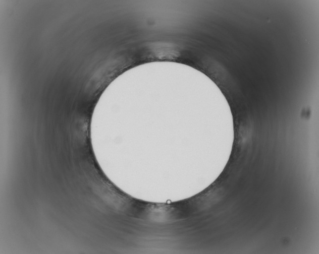 X0000112540321200909141318