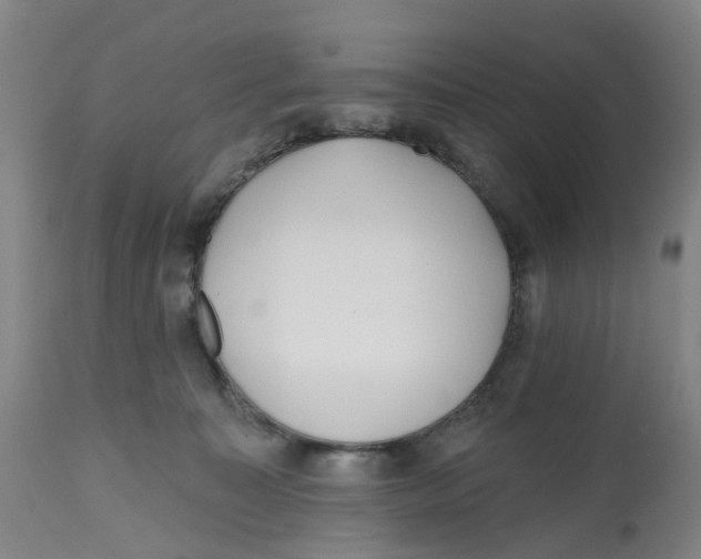 X0000112540323200909141318