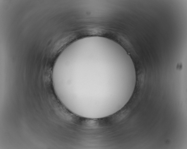 X0000112540325200909141318
