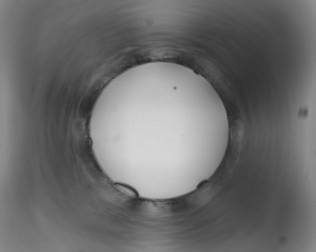 X0000112540327200909141318