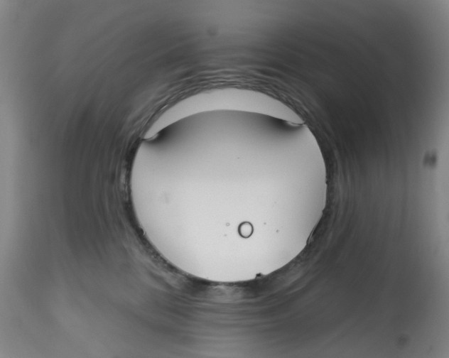 X0000112540328200909141318