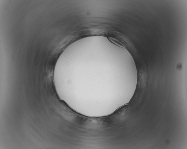 X0000112540329200909141318