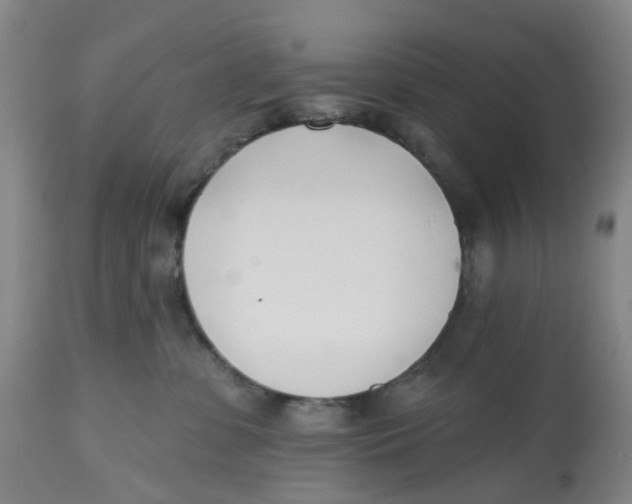 X0000112540331200909141318