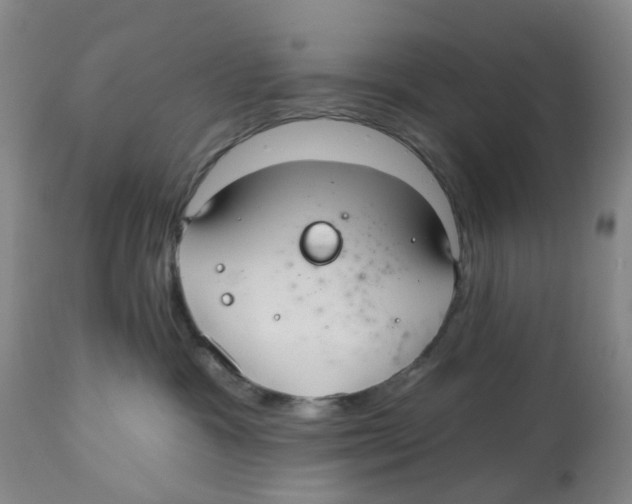 X0000112540333200909141318