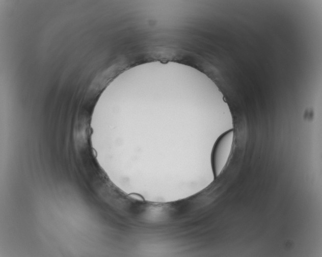 X0000112540334200909141318