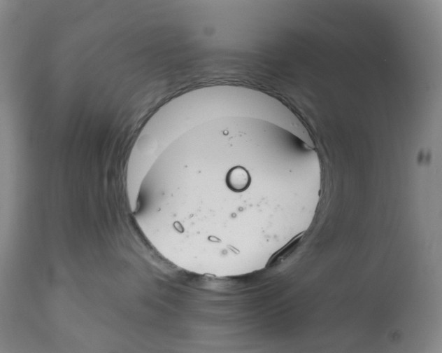 X0000112540336200909141318