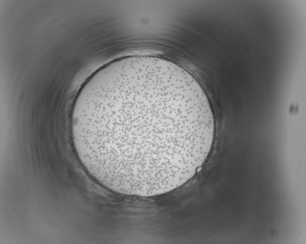 X0000112540337200909141317