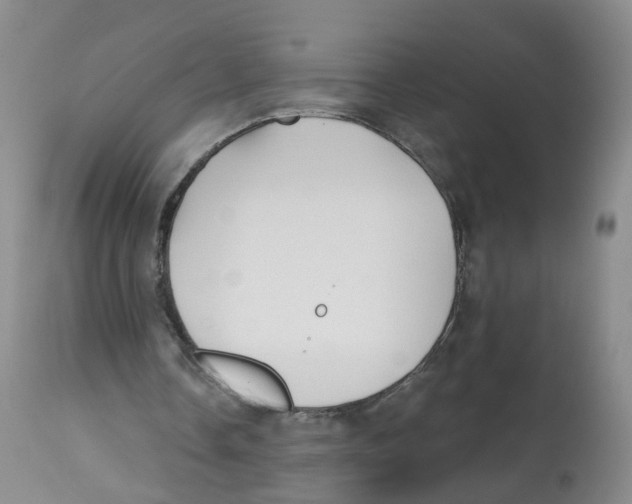 X0000112540338200909141317