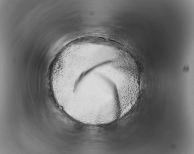 X0000112540339200909141317