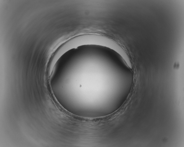 X0000112540340200909141317