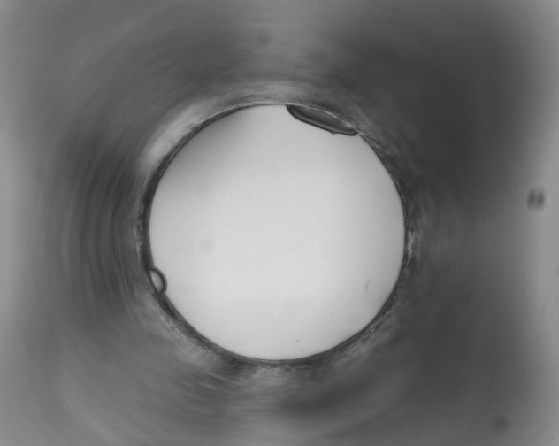 X0000112540341200909141317