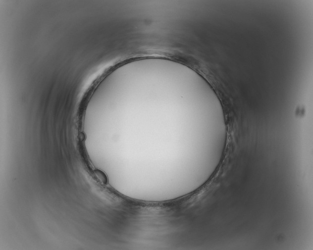 X0000112540342200909141317