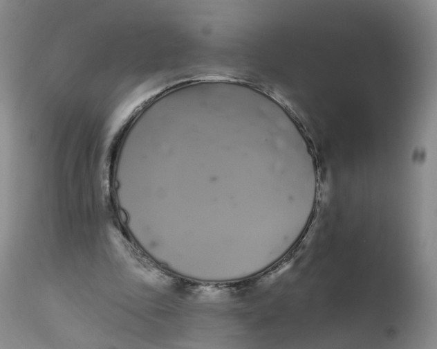 X0000112540343200909141317