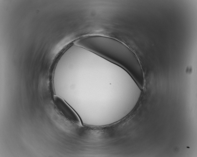 X0000112540344200909141317
