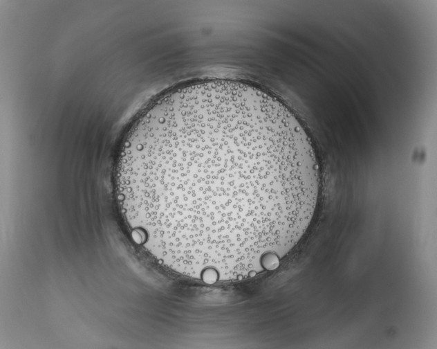 X0000112540347200909141317