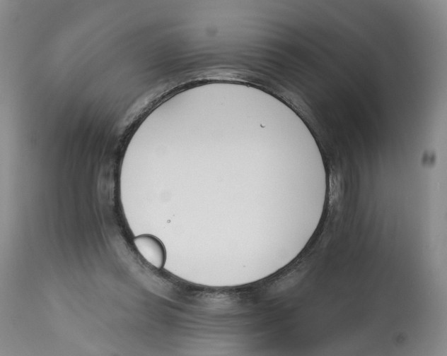 X0000112540349200909141317