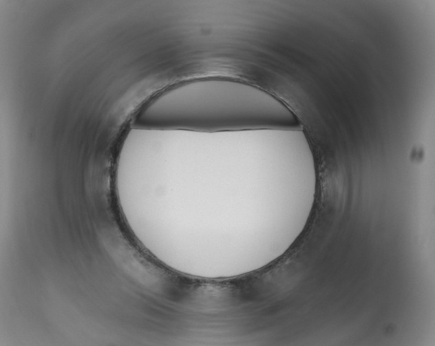 X0000112540350200909141317