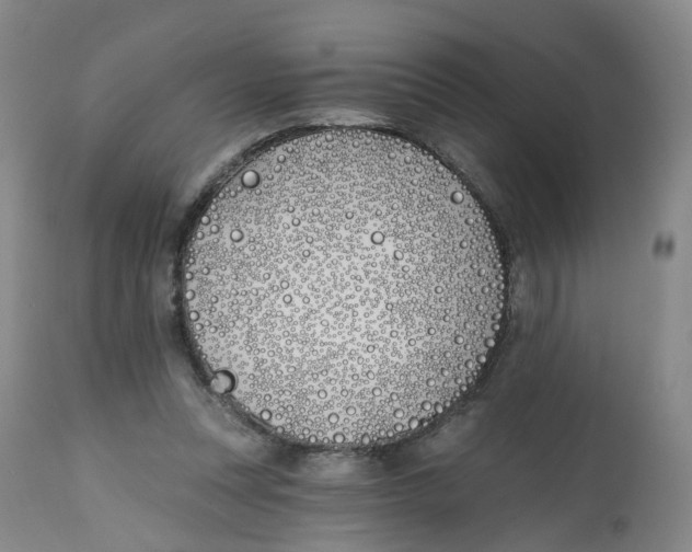 X0000112540351200909141317