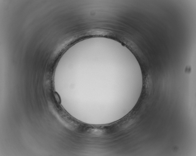 X0000112540352200909141317