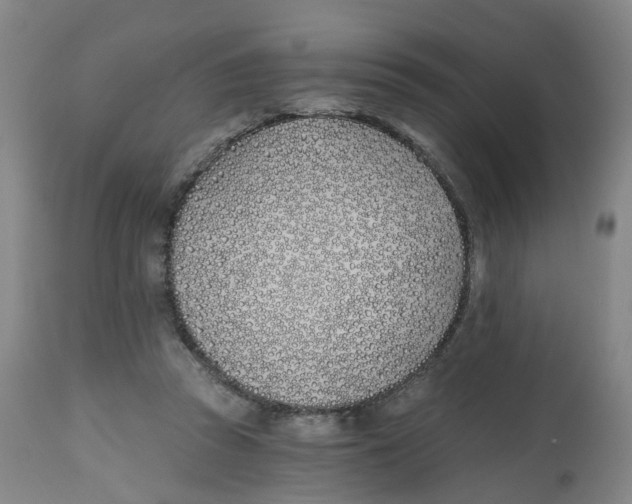 X0000112540353200909141317