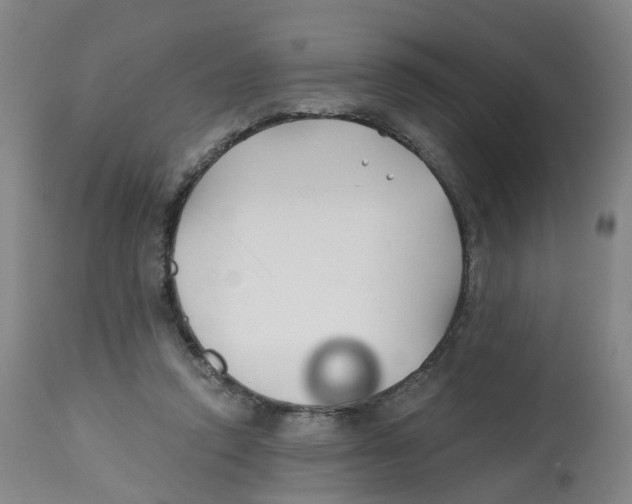 X0000112540354200909141317