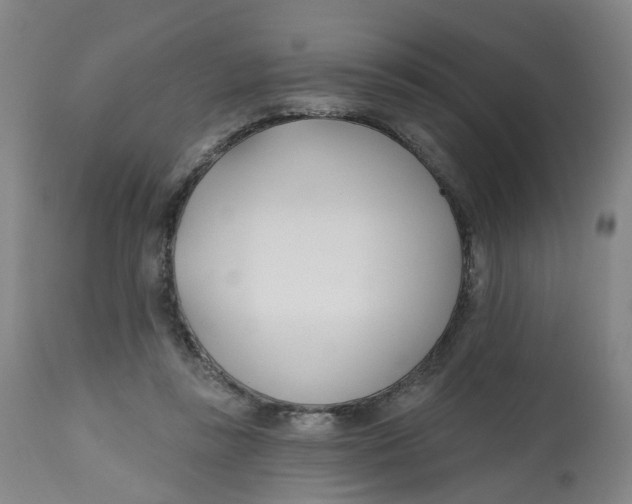 X0000112540355200909141317