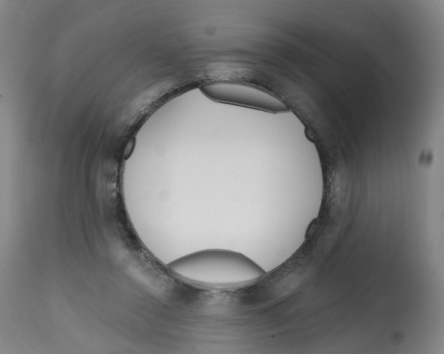 X0000112540356200909141317