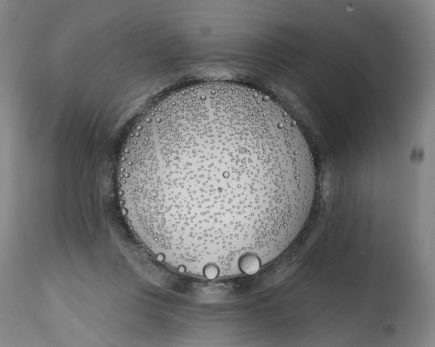 X0000112540359200909141317