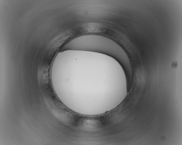 X0000112540360200909141318