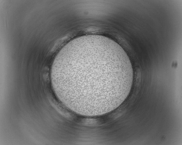 X0000112540361200909141318