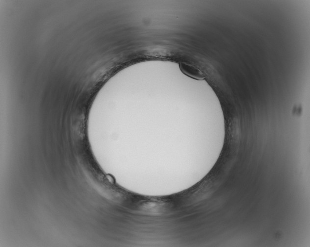 X0000112540364200909141318