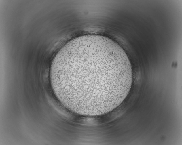 X0000112540365200909141318