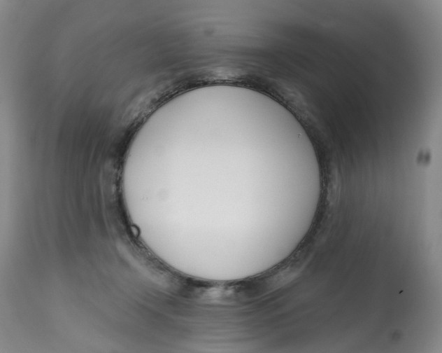 X0000112540366200909141318