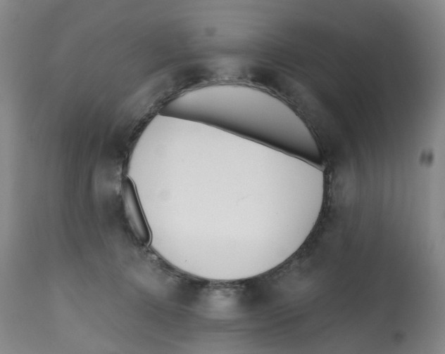 X0000112540368200909141318