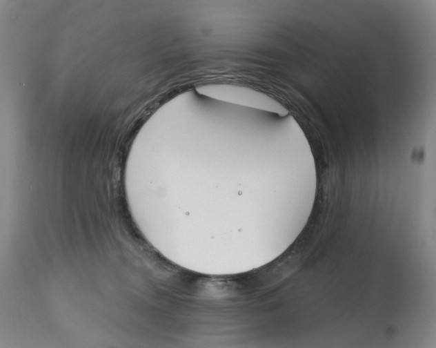 X0000112540372200909141318