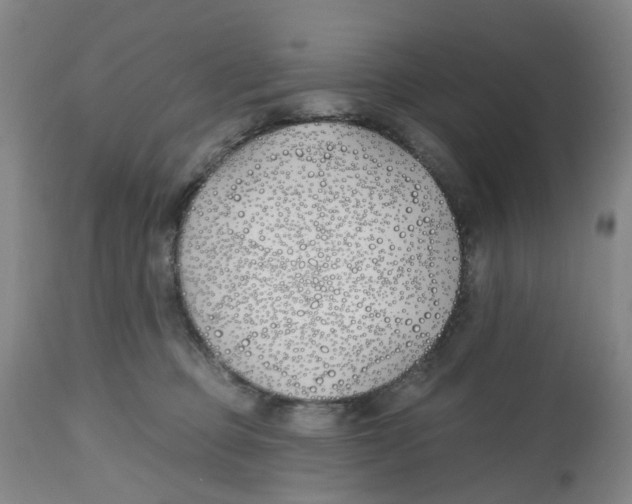 X0000112540373200909141318