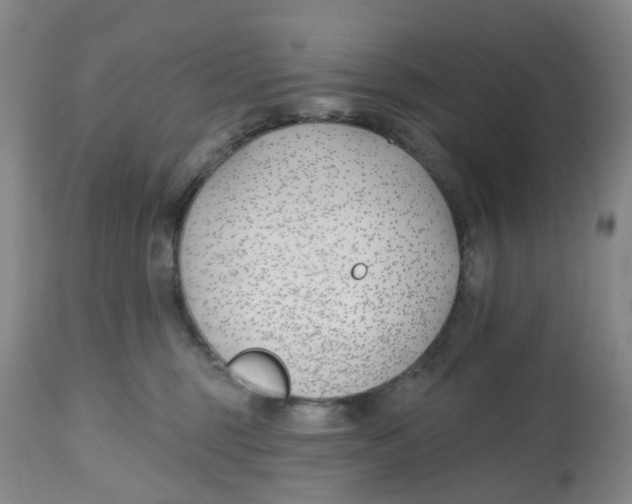 X0000112540375200909141318